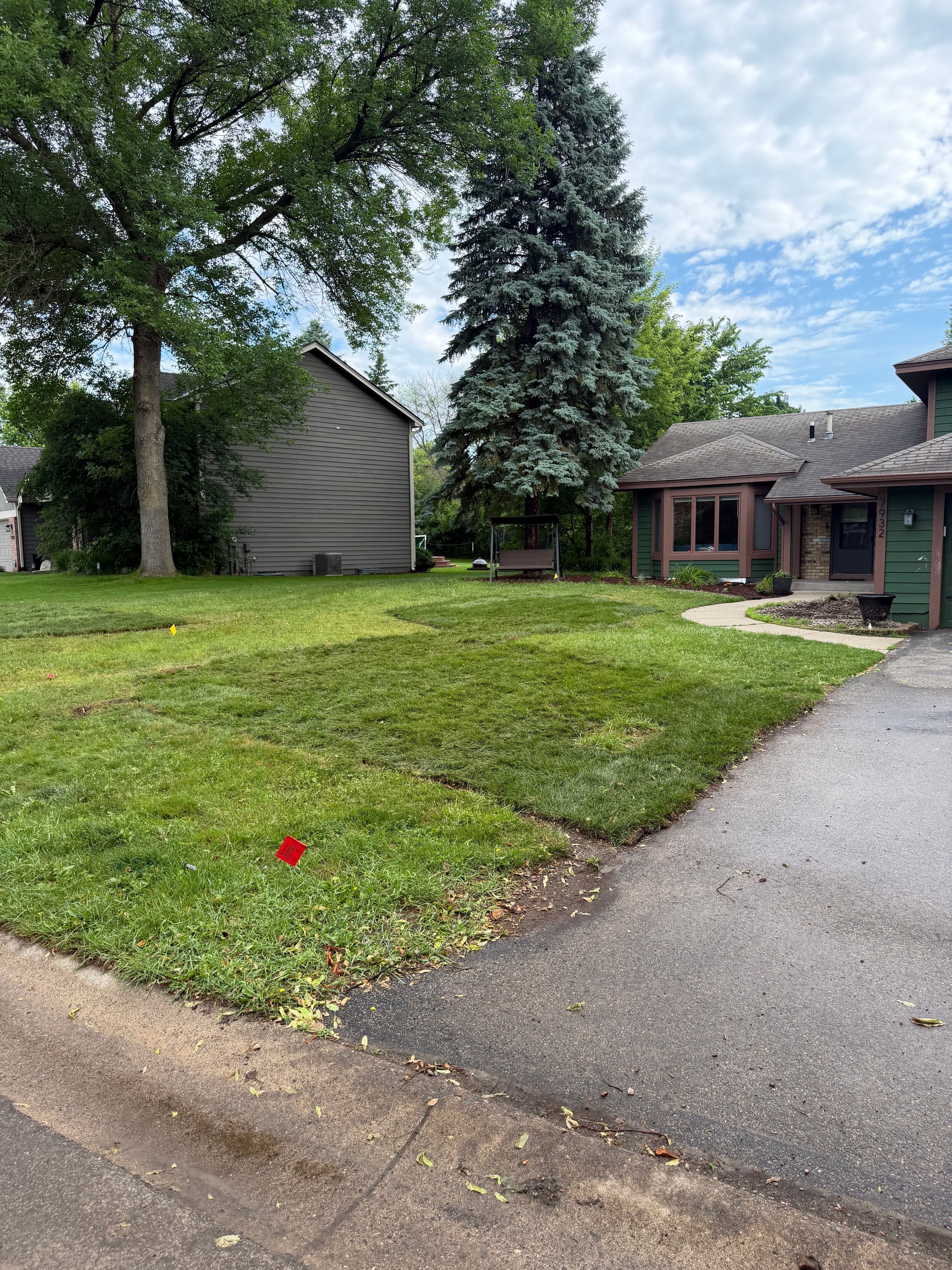 Project Rock Removal, Stump Grinding, and Sod Installation in Eden Prairie image