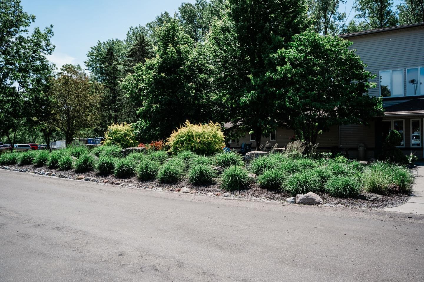 Weed Maintenance image