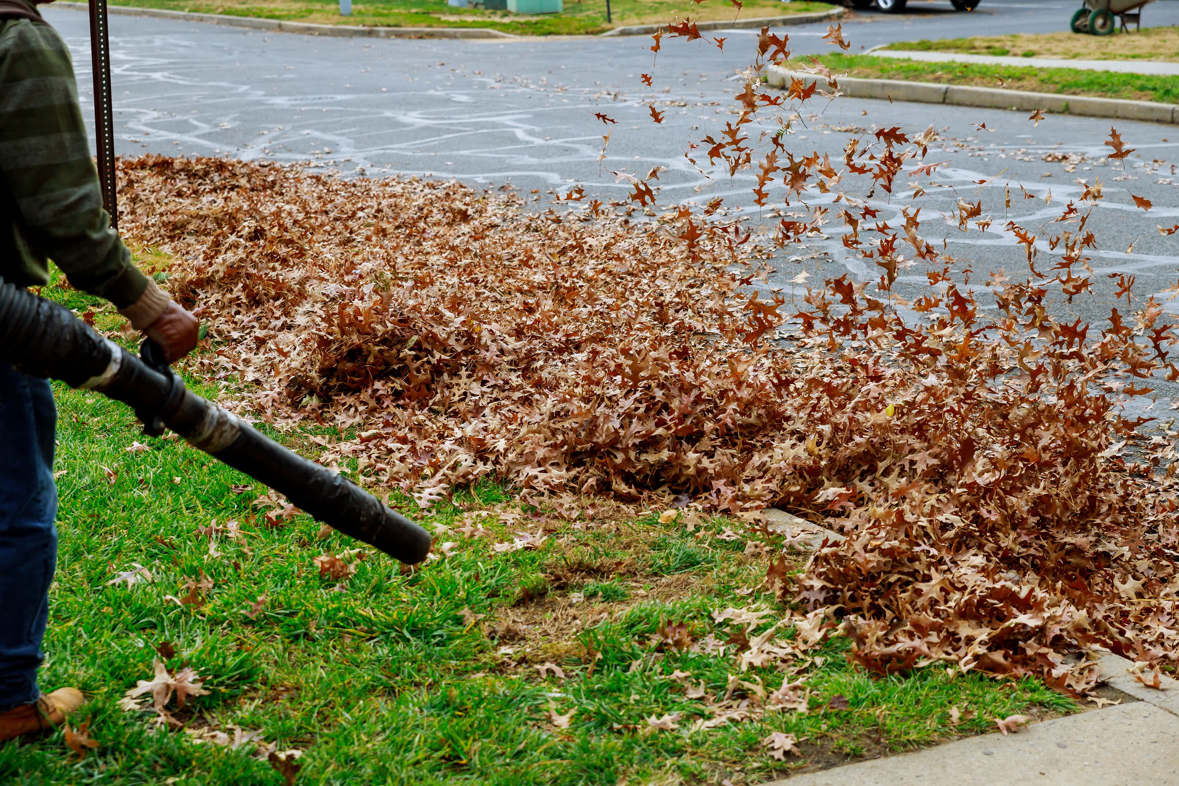 Spring/Fall Cleanups image
