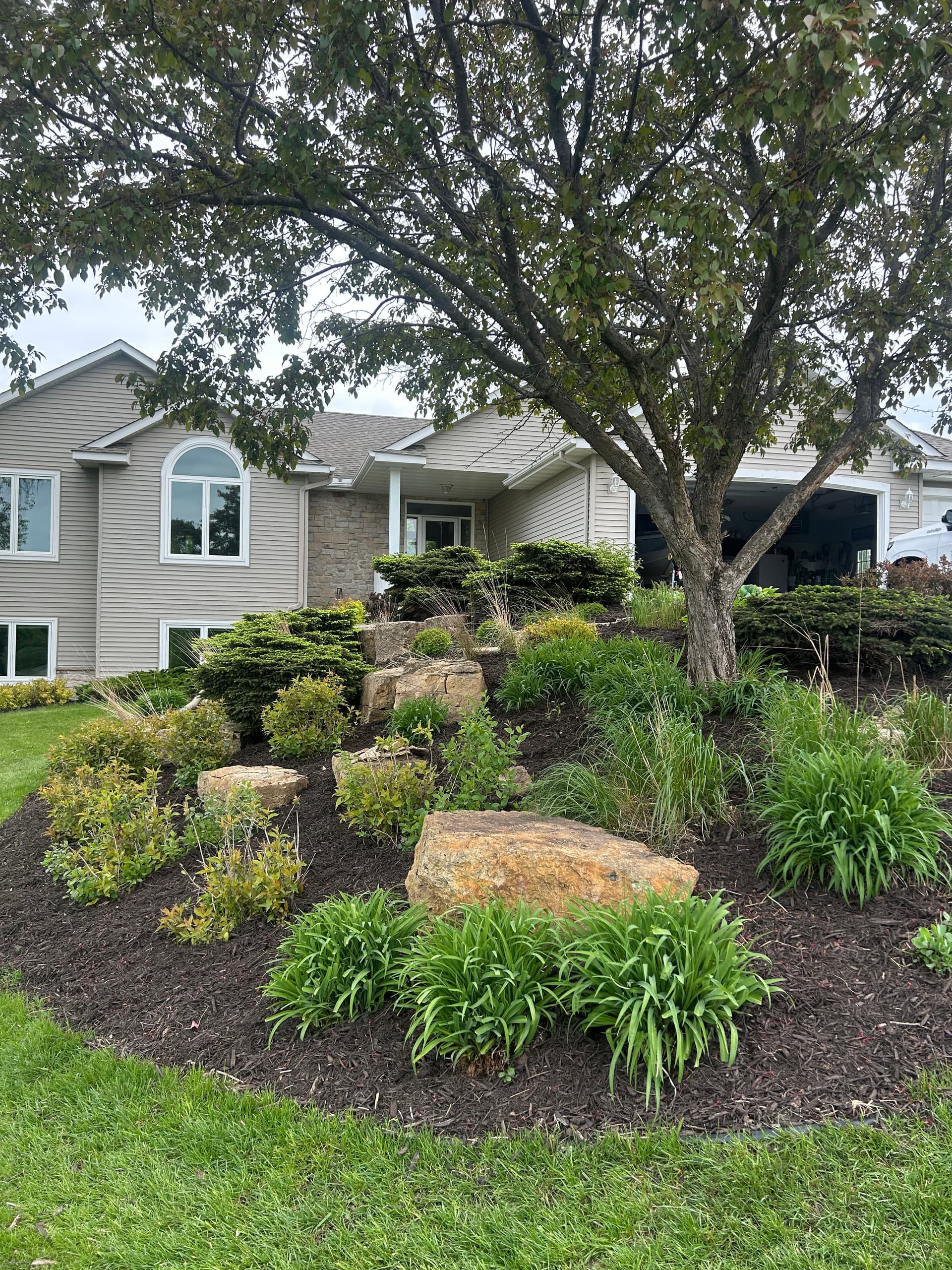 Gallery photos for 20+ Yards of Dark Brown Mulch Installed in Lakeville: Image #3