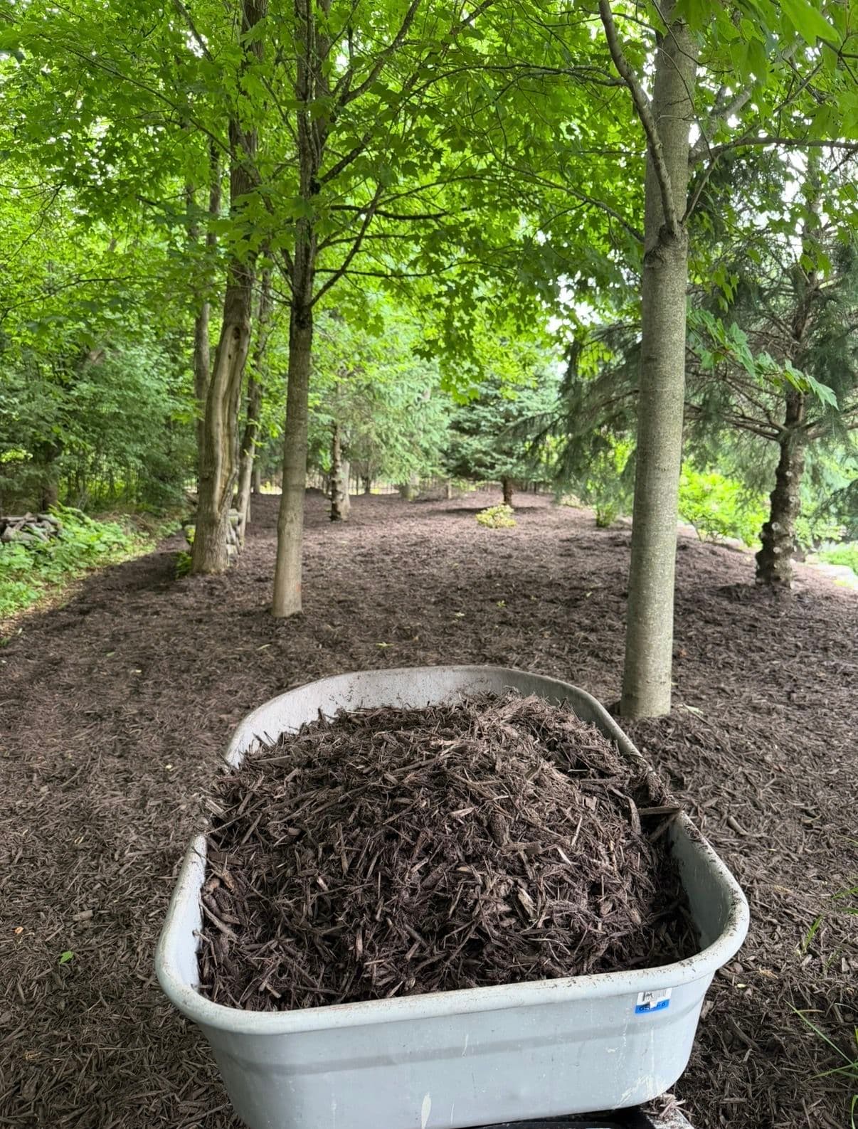 22 Yards of Mulch and Clean Edges in Plymouth MN image