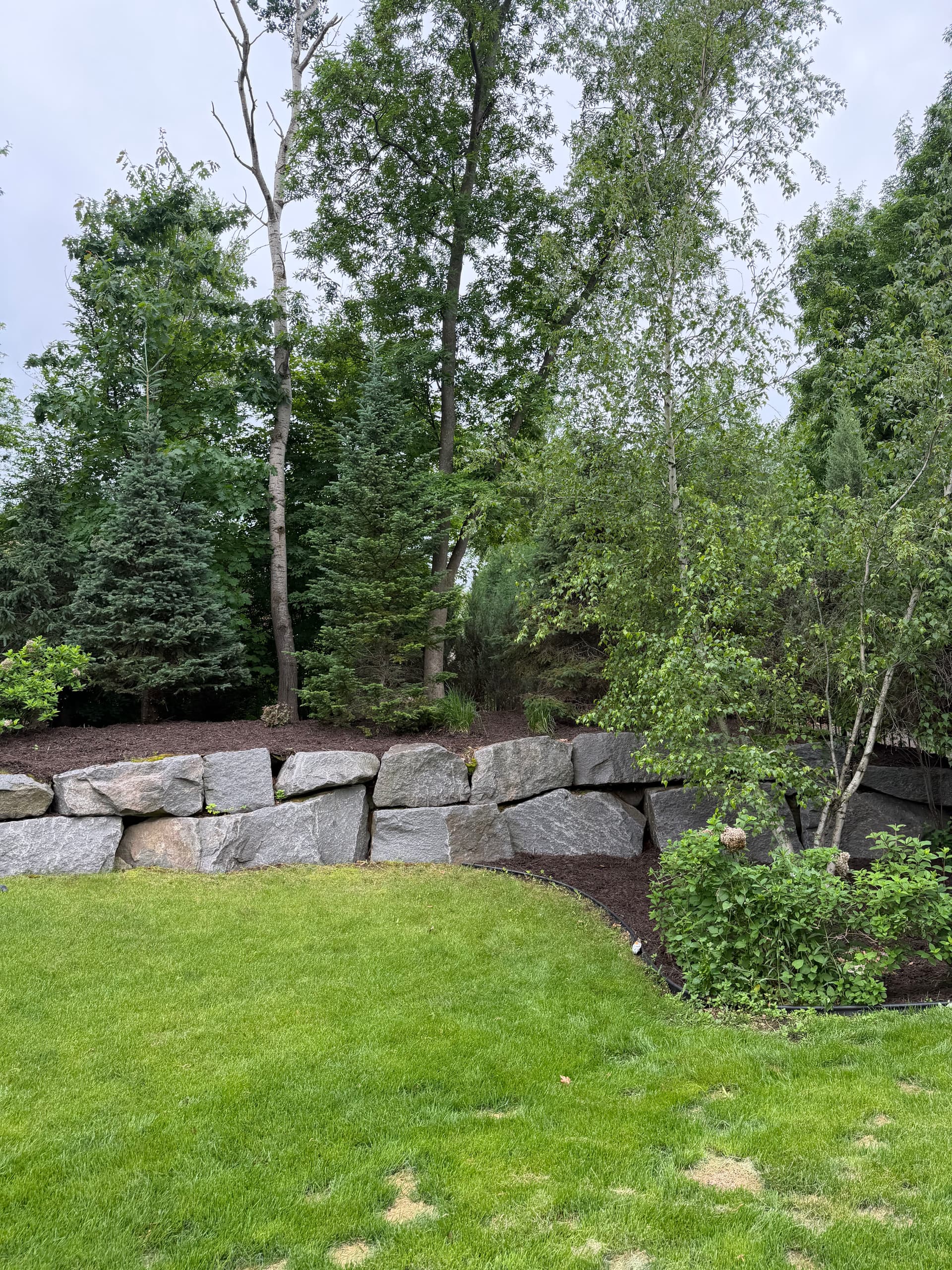 Gallery photos for 22 Yards of Mulch and Clean Edges in Plymouth MN: Image #1