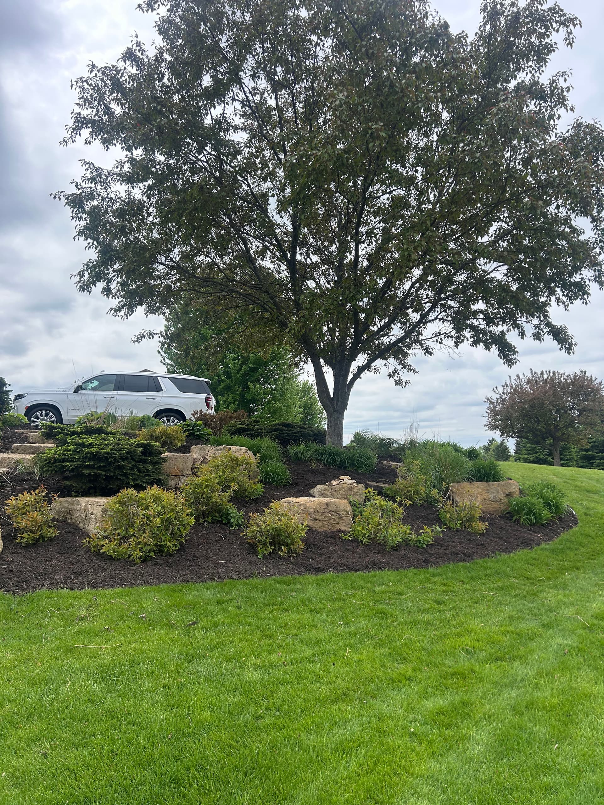 Gallery photos for 20+ Yards of Dark Brown Mulch Installed in Lakeville: Image #2