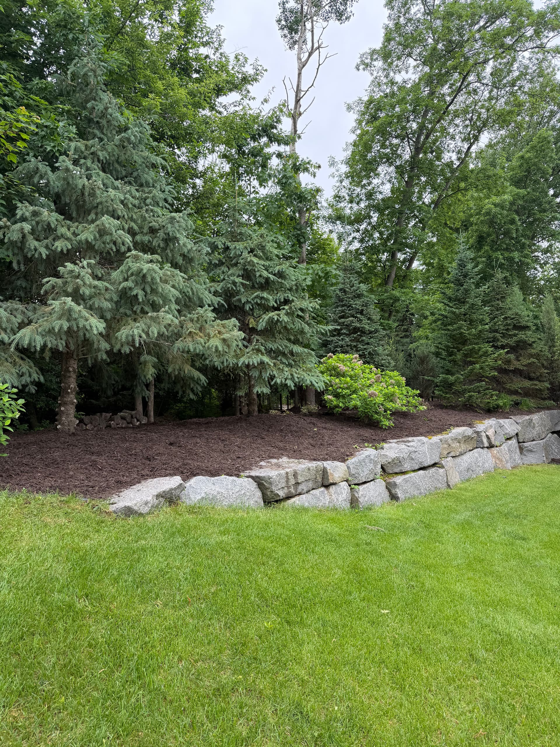 Gallery photos for 22 Yards of Mulch and Clean Edges in Plymouth MN: Image #2