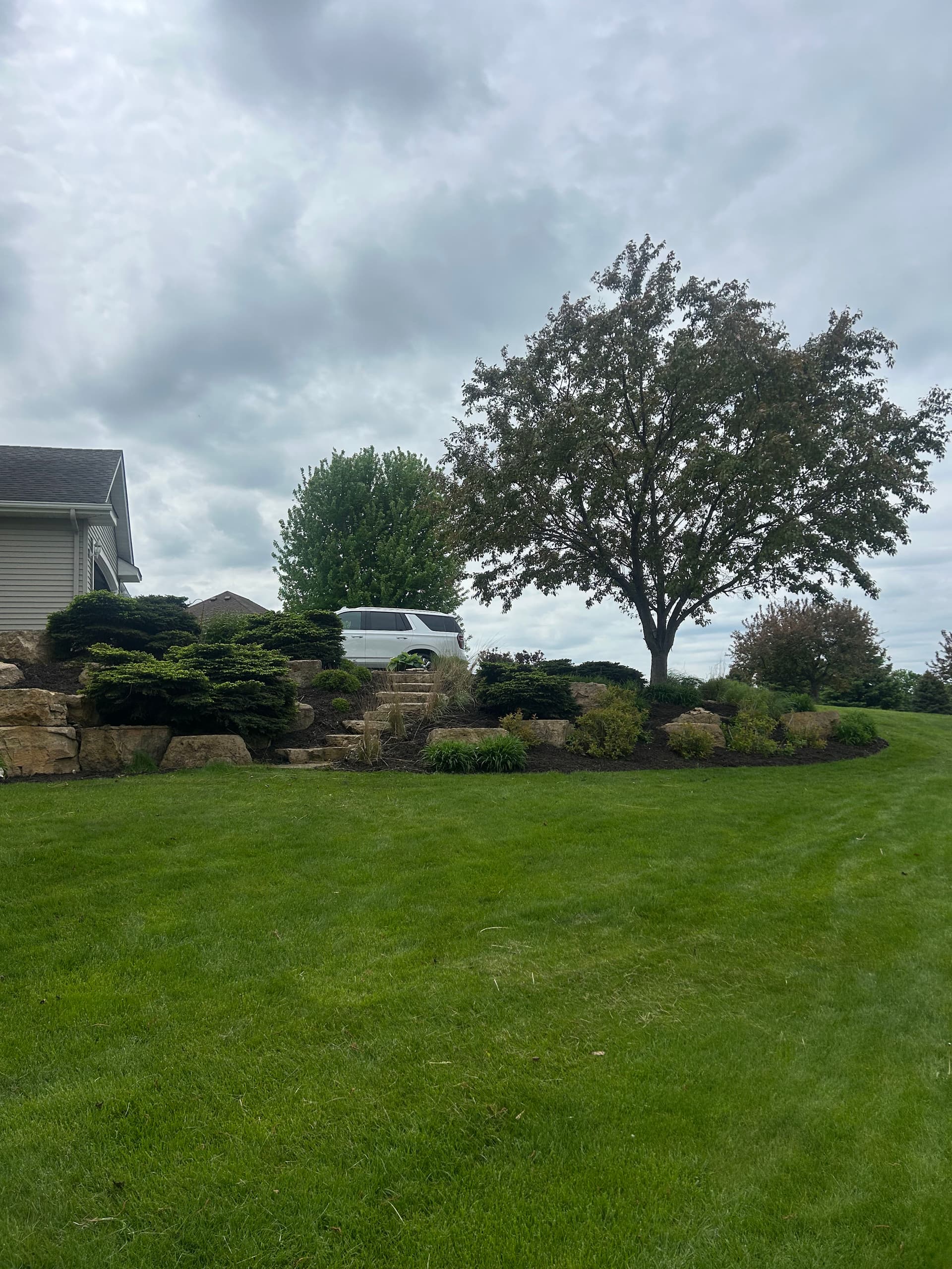 Gallery photos for 20+ Yards of Dark Brown Mulch Installed in Lakeville: Image #1