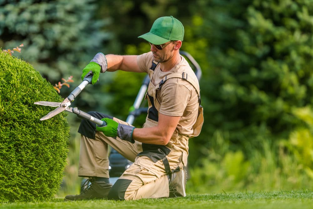 Trimming image