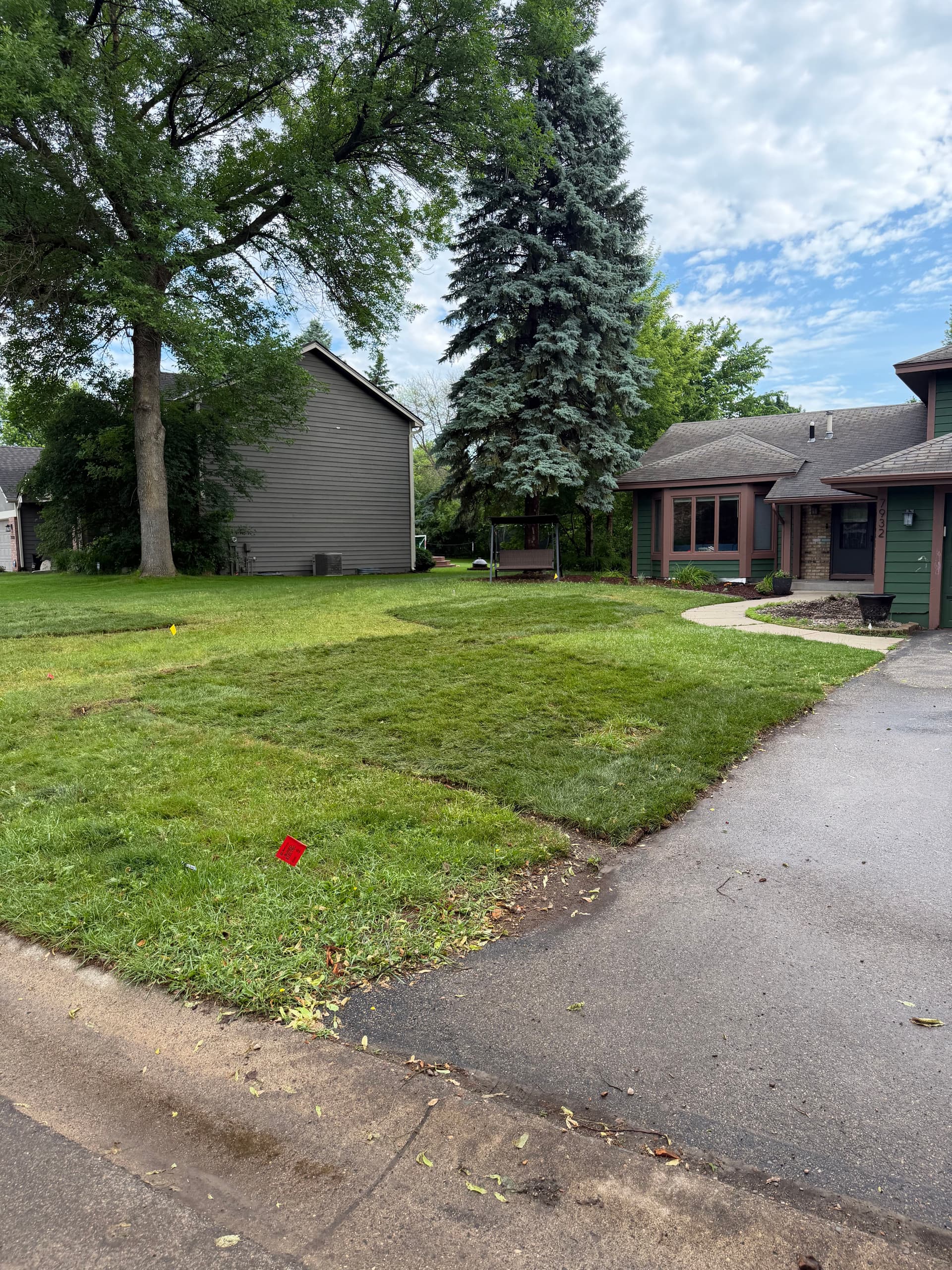 Rock Removal, Stump Grinding, and Sod Installation in Eden Prairie image
