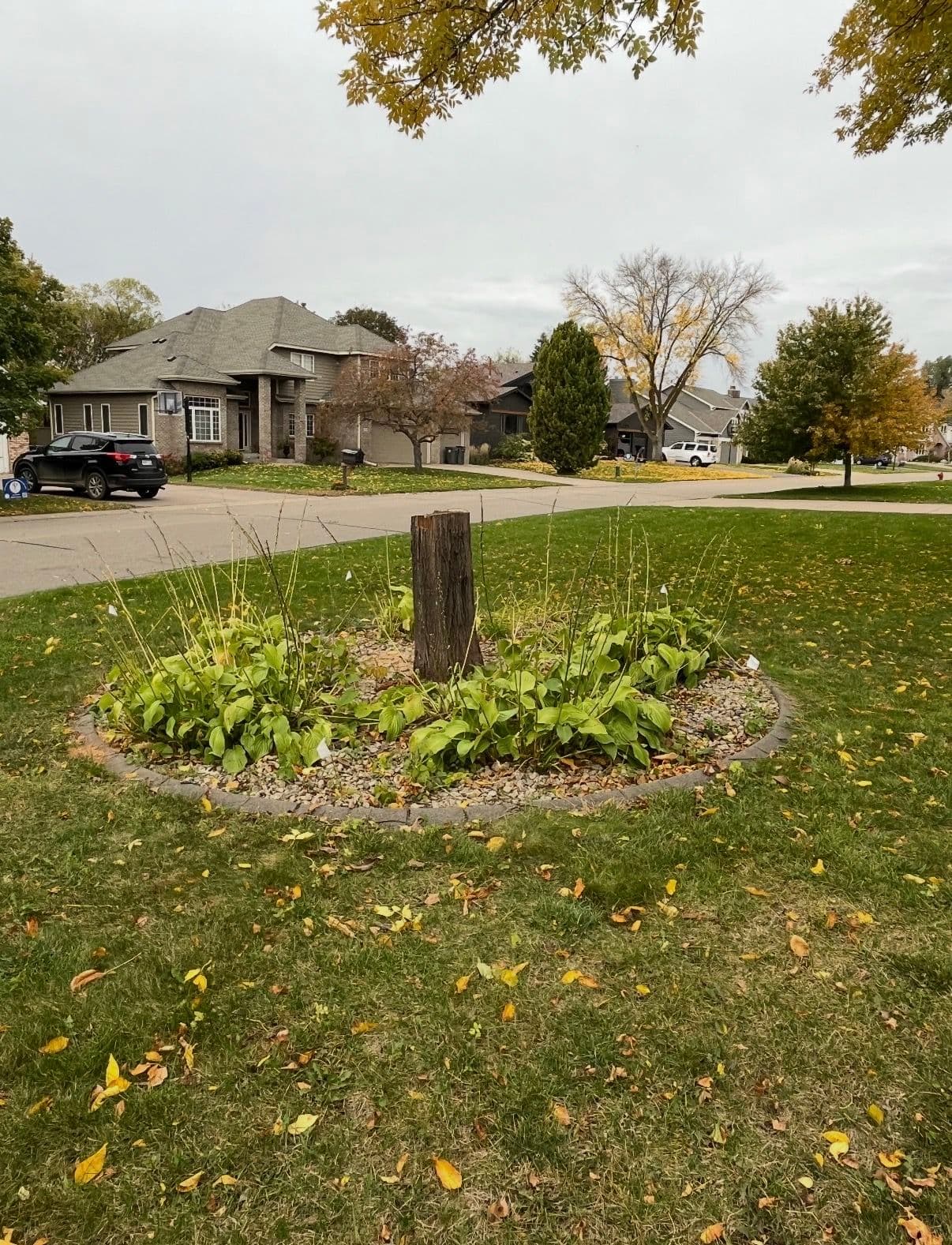 Gallery photos for Rock Removal, Stump Grinding, and Sod Installation in Eden Prairie: Image #2