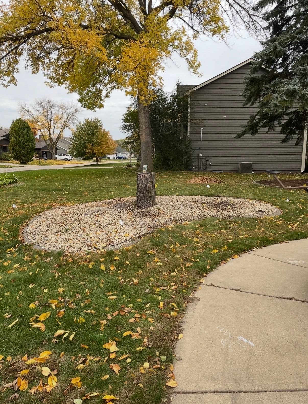 Gallery photos for Rock Removal, Stump Grinding, and Sod Installation in Eden Prairie: Image #3